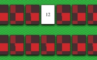 Image Memory Match Master Card Challenge